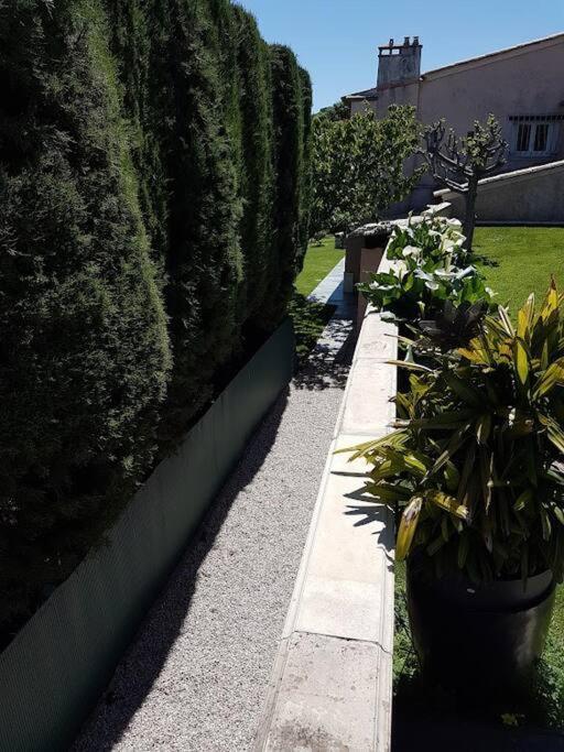 Elegant-Cosy 2P55M2 Dans Bas De Villa Provencale ! Villeneuve-Loubet Exterior foto